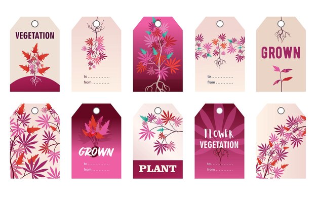 대마 식물이있는 프로모션 핑크 태그 디자인. 만화 그림