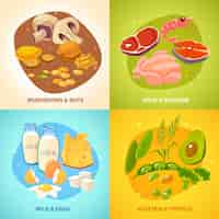 Free vector protein food concept card set