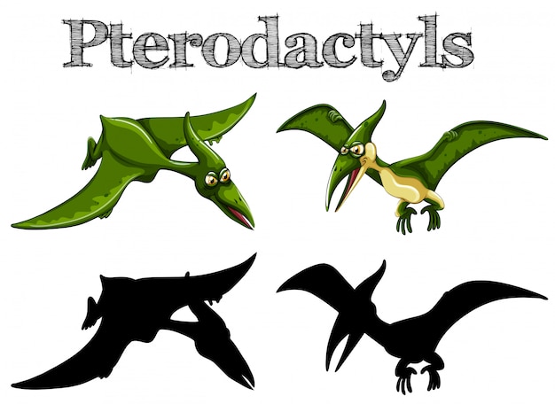 Vettore gratuito pterodattili in verde e silhouette