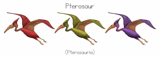 Vettore gratuito pterosauro in tre colori