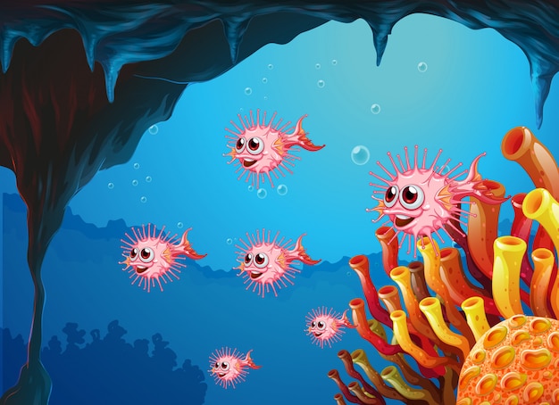 海の洞穴の中のふくよかな魚