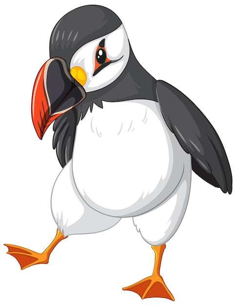 Free vector puffin bird isolated vector