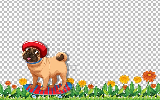 Free vector pug dog playing skateboard on transparent background