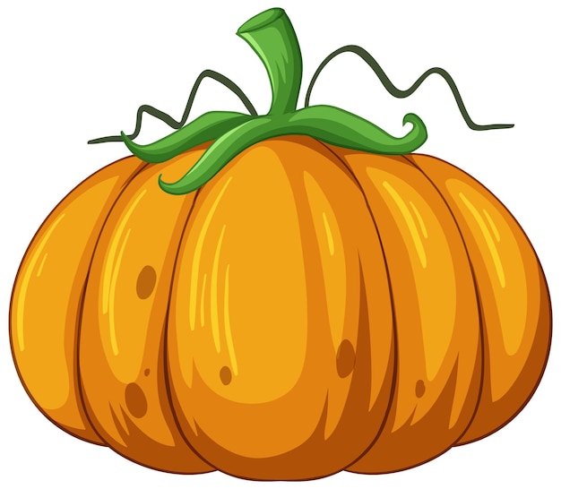 Pumpkin in cartoon style on white background