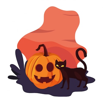 Pumpkin cat happy halloween celebration