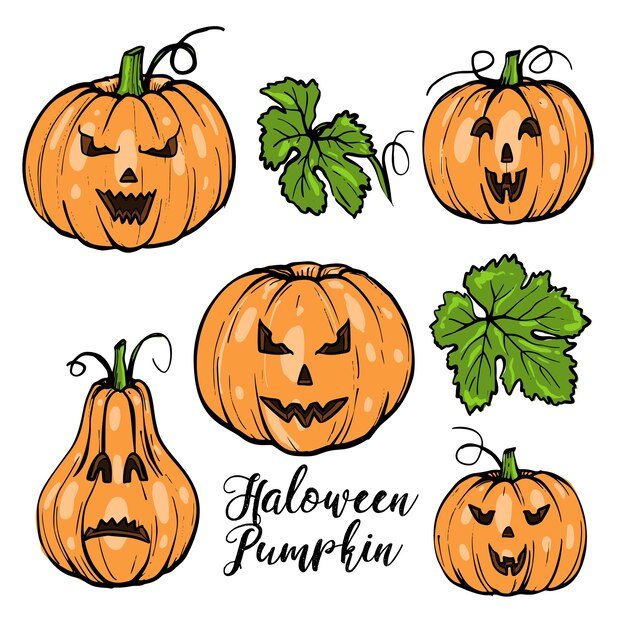 カボチャのイラストセット 手描きベクトル野菜イラスト 刻まれたスタイルのハロウィーンまたは感謝祭 プレミアムベクター