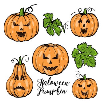 カボチャのイラストセット 手描きベクトル野菜イラスト 刻まれたスタイルのハロウィーンまたは感謝祭 プレミアムベクター カボチャのイラストセット 手描きベクトル野菜イラスト 刻まれたスタイルのハロウィーンまたは感謝祭 プレミアムベクター