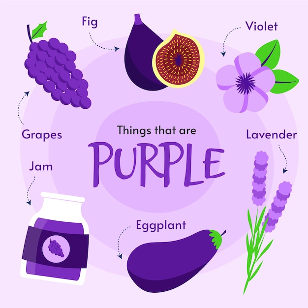 Purple color and vocabulary set in english