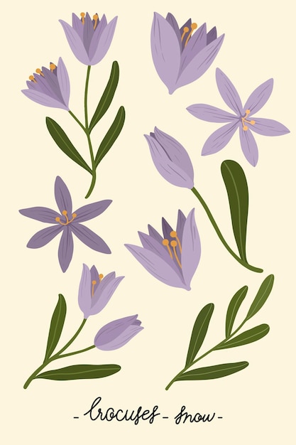 Purple flower on a creamy background vector