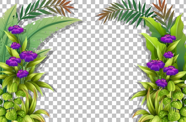 Online Editing transparent background PNG cliparts free download