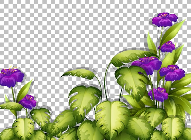 Purple flower and leaves frame template on transparent background