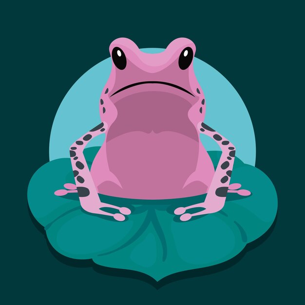 Purple frog amphibian