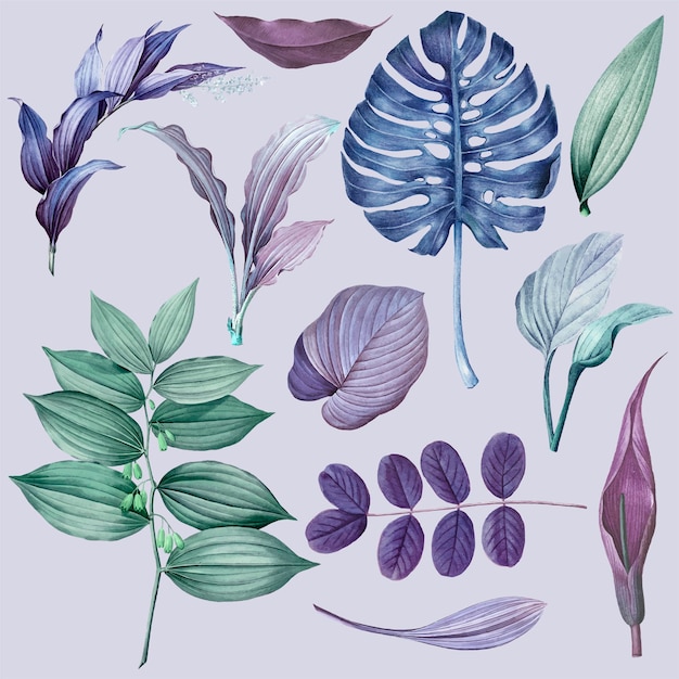 Free vector purple leaves collection design vector