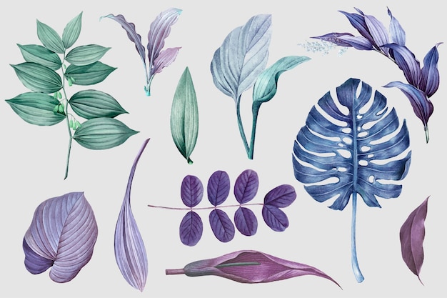 Purple leaves collection