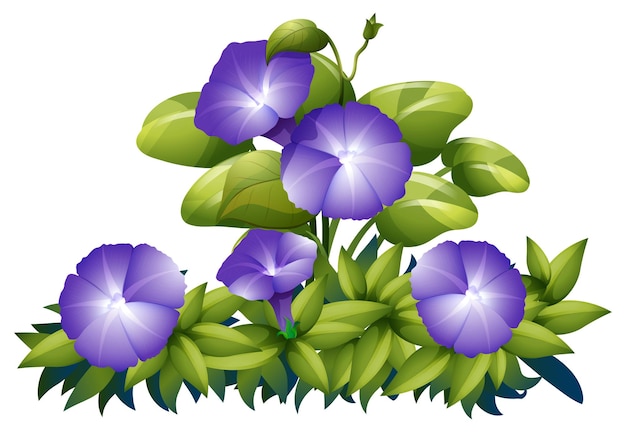 無料ベクター 茂みの中の紫色の朝顔