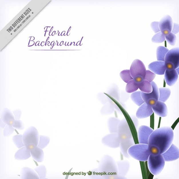 Free vector purple and realistic floral background