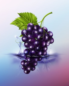 Purple table grapes drop on juice splash and ripple