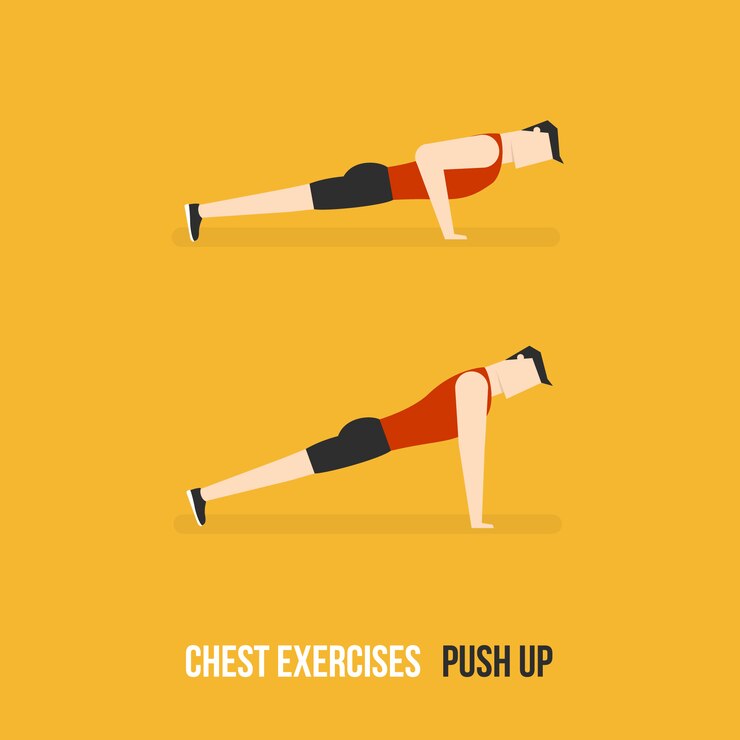 Free Vector push up demostration