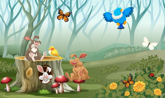 Rabbits and birds living in the forest