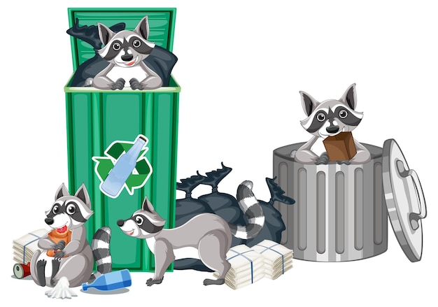 Raccoons searching food in the trashcans
