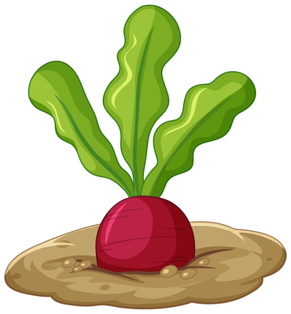 Radish root in soil cartoon style isolated