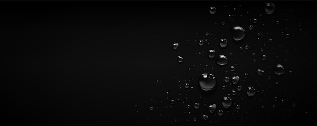 Rain water drop bubble vector black background