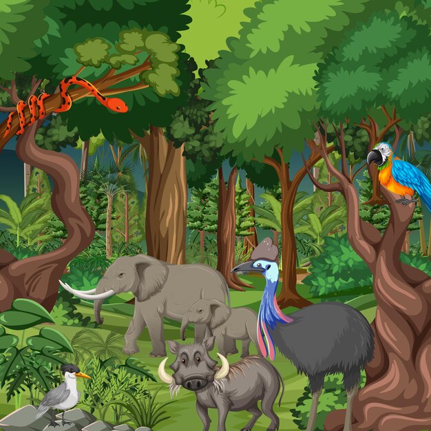 Rainforest scene with wild animals