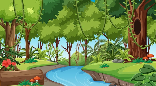 Rainforest or tropical forest at daytime scene