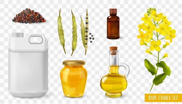 Rape canola transparent set with manufacture symbols realistic isolated vector illustration