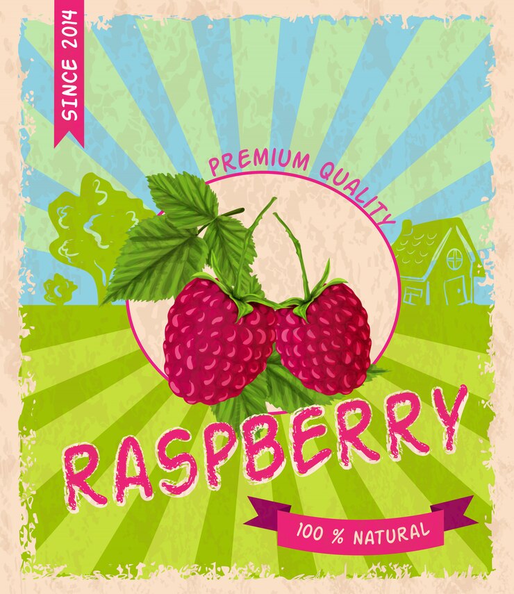 Free Vector raspberry retro poster