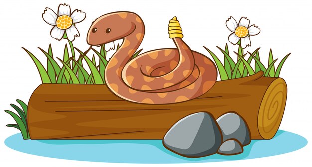 Free Vector rattle snake 
