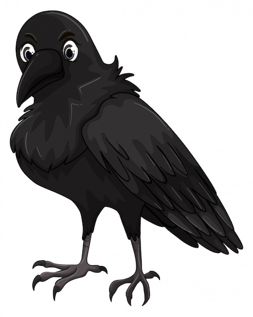 crows clipart free