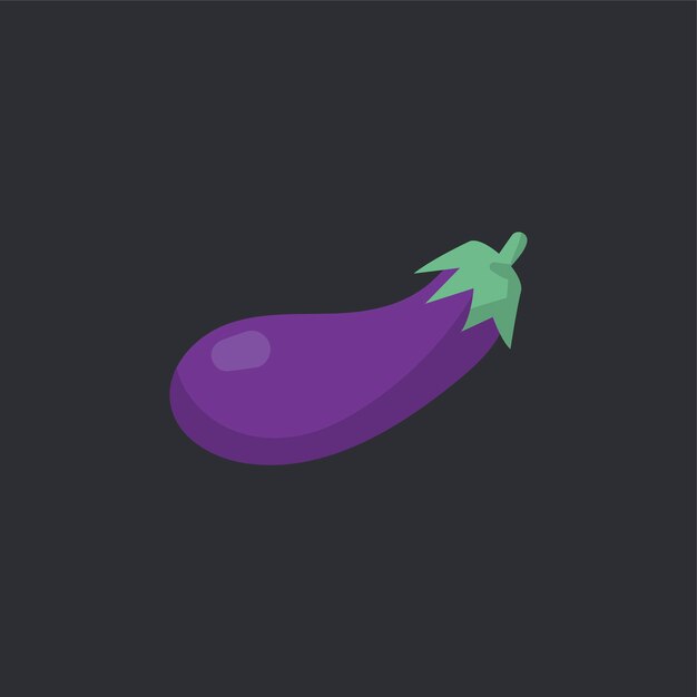 Raw organic eggplant food vector