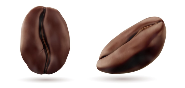 Free Vector realistic 3d coffee beans in front and angle view