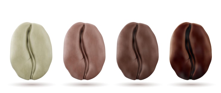 Free Vector realistic 3d coffee beans showing roasting stages