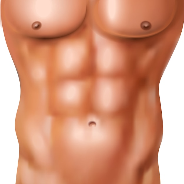 無料ベクター 現実的な腹筋パックの白い背景のベクトル図に運動形体を持つ裸の男