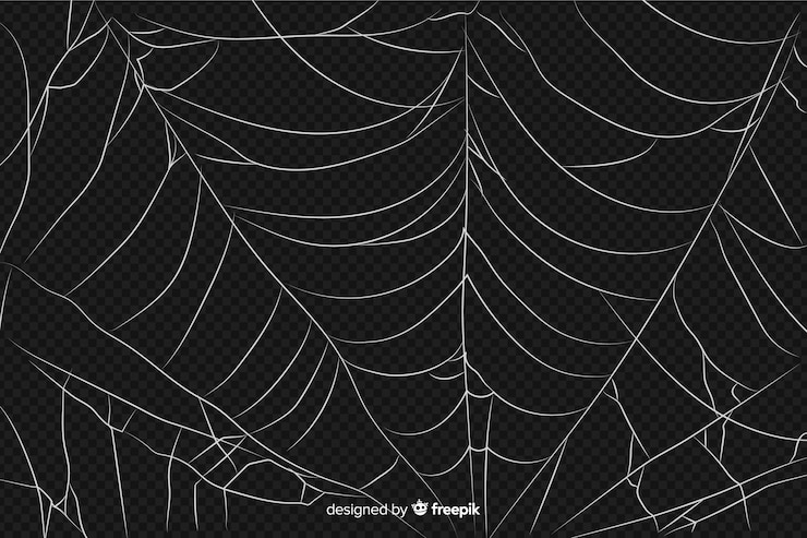 Free Vector realistic abstract design of  spider web