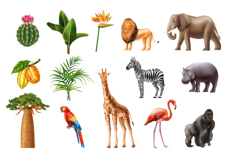 Free Vector realistic africa animals birds floral set of isolated icons with exotic flowers and colorful tropical birds vector illustration