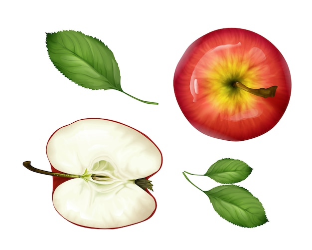 Free vector realistic apple top view set. 3d ripe fruit sliced half, whole and green leaves.