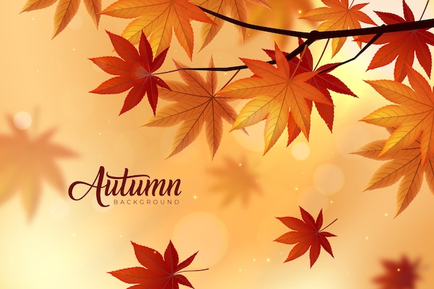 Free vector realistic autmn background