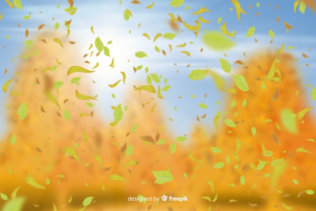 Realistic autumn background with leaves