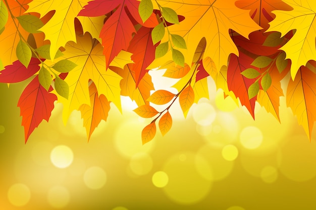 Free vector realistic autumn background