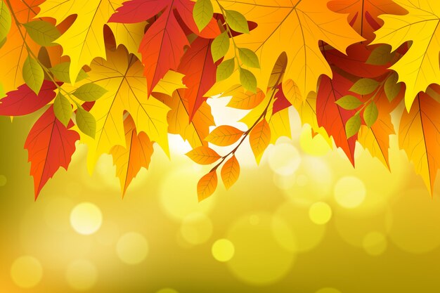 Realistic autumn background