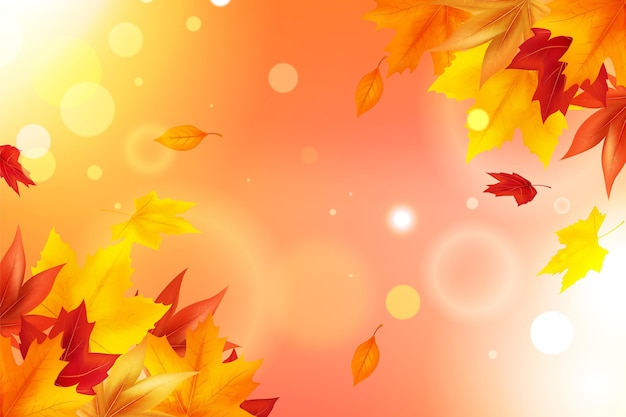 Realistic autumn background