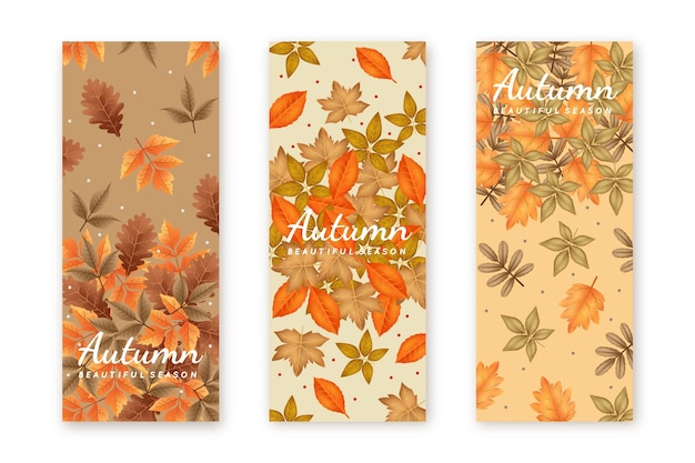 Realistic autumn banners