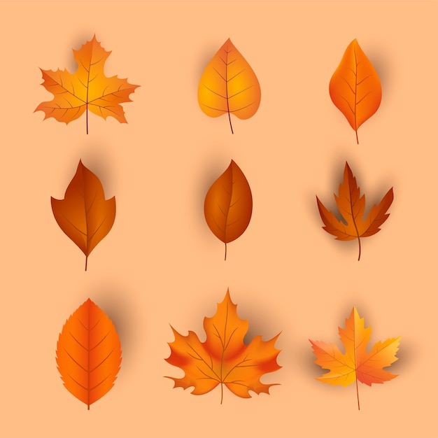 Realistic autumn celebration elements collection