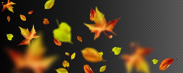 Realistic autumn leaf banner