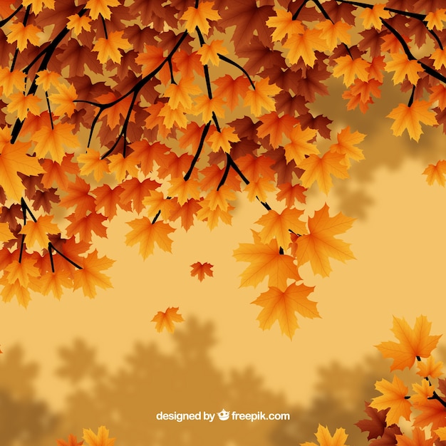 Realistic autumn leaves on branches