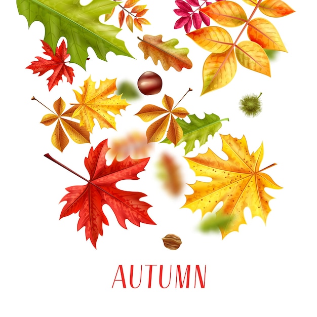 Vettore gratuito illustrazione realistica di caduta delle foglie di autunno