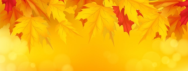 Free vector realistic autumn social media cover template